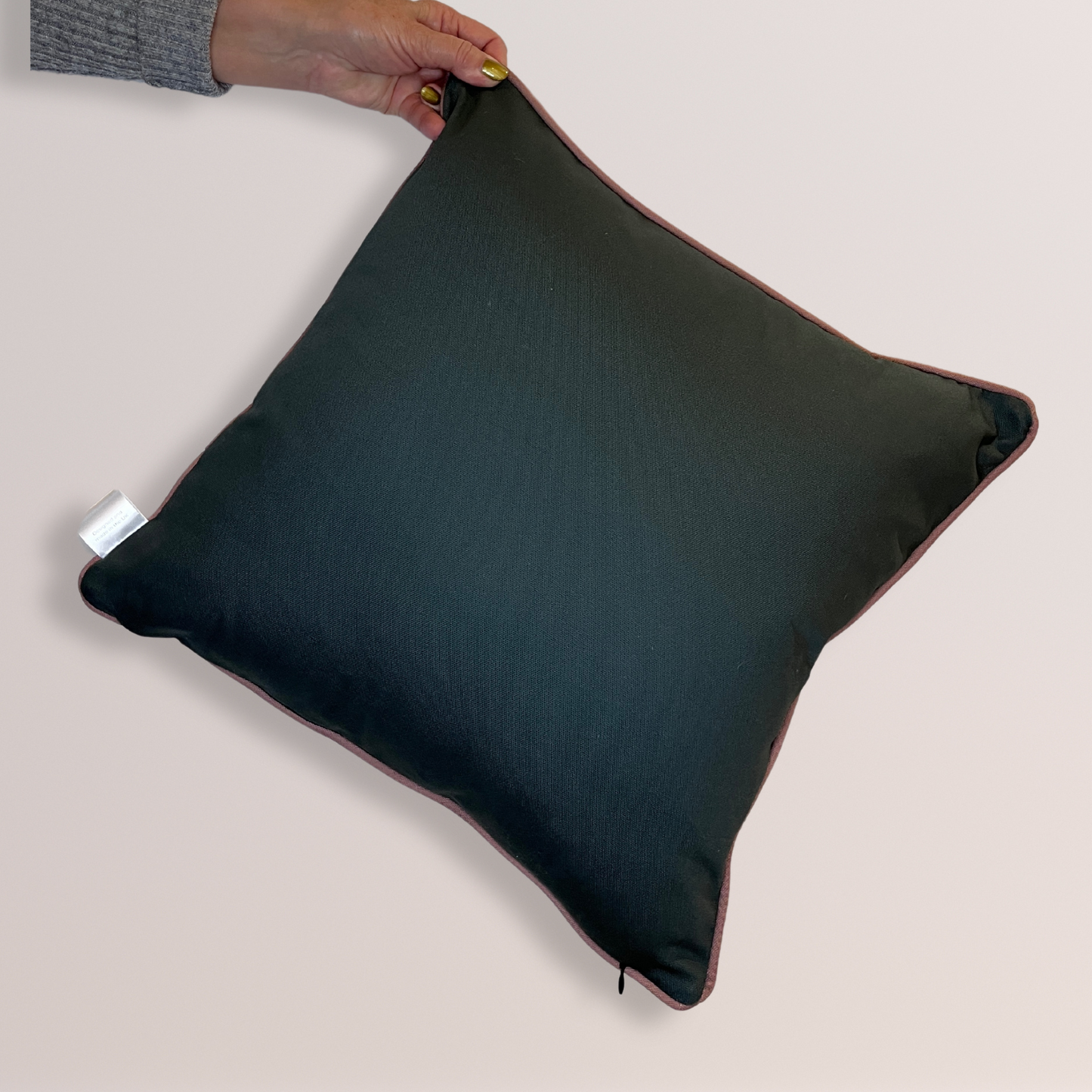 'Honesty' Cushion